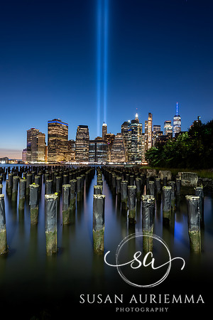 _DSC7826-Edit-2