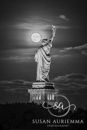 _DSC2542-HDR
