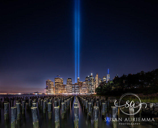 _DSC7830