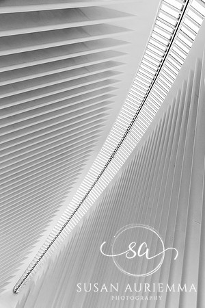 _DSC7295
