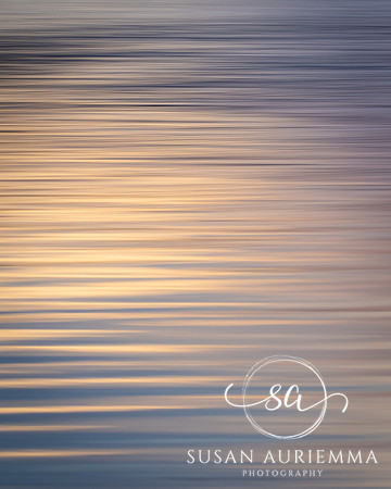 _DSC3778
