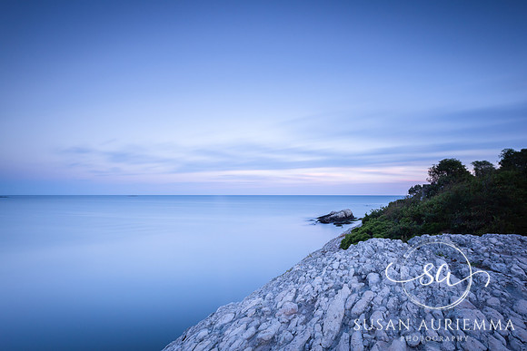 _DSC5631-Edit