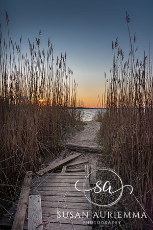 _DSC8205-HDR-Edit