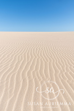 _DSC6077-Edit