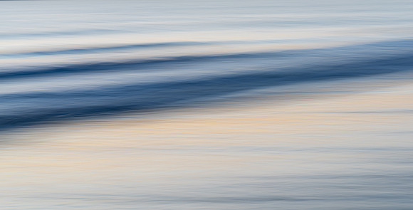 _DSC3518