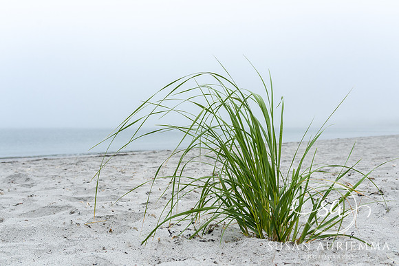 _DSC4863-Edit