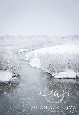 _DSC9466-Edit