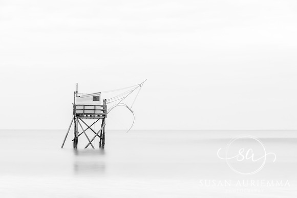 _DSC8235