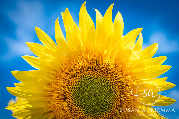 _DSC6031-Edit