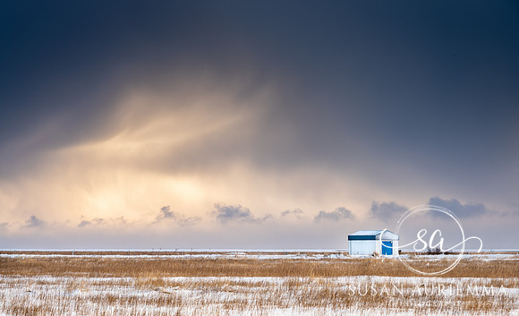 _DSC1623
